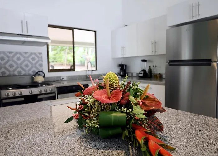 Casa Mari Black Stallion Tamarindo