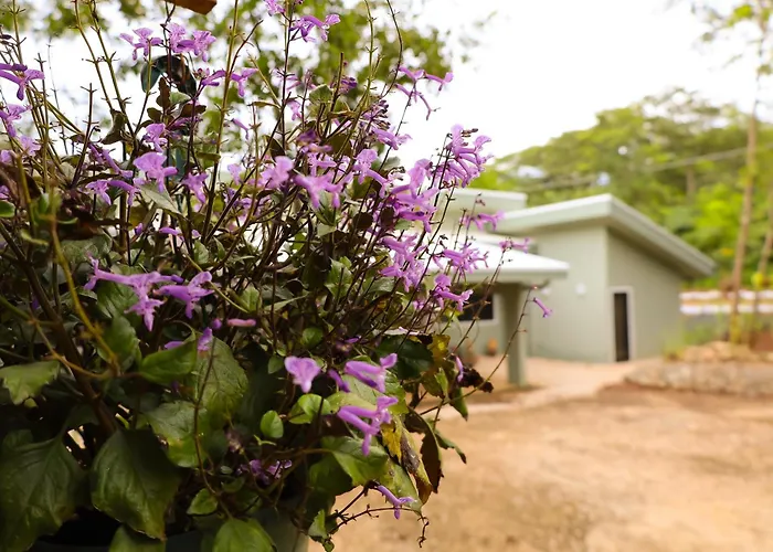 Casa Mari Black Stallion Appartement Tamarindo