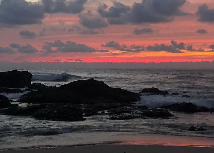 Casa Mari Black Stallion Tamarindo